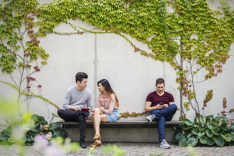 drei Studenten sitzen auf einer Bank, eine Person schaut auf ein Smartphone, zwei Personen sprechen miteinander