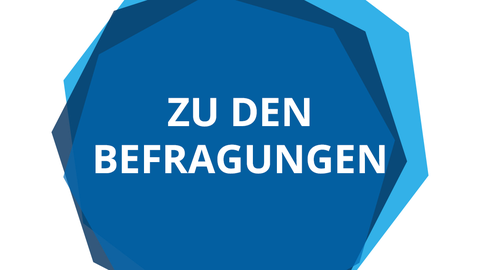 Button mit Link zu den Befragungen