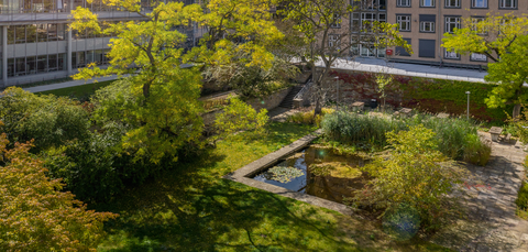 Foto vom Park hinter dem Barkhausen-Bau, zu sehen ist viel grün und ein kleiner Teich