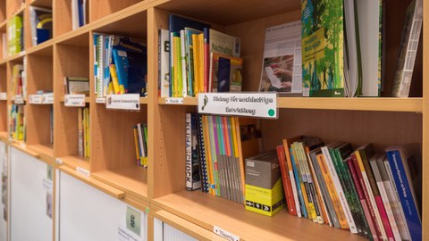 Bücherregal mit Büchern