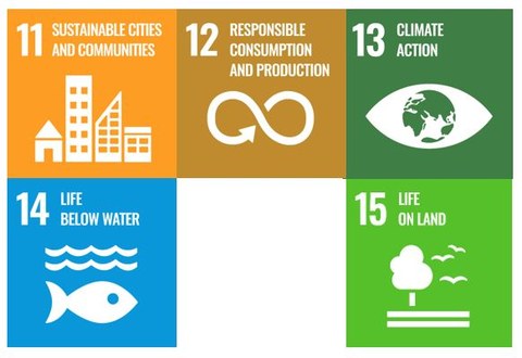 Man sieht die Symbolbilder der SDGs die zur Gruppe Planet gehören.