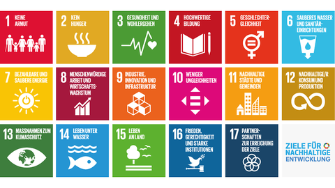 Man sieht die Symbolbilder der SDGs.