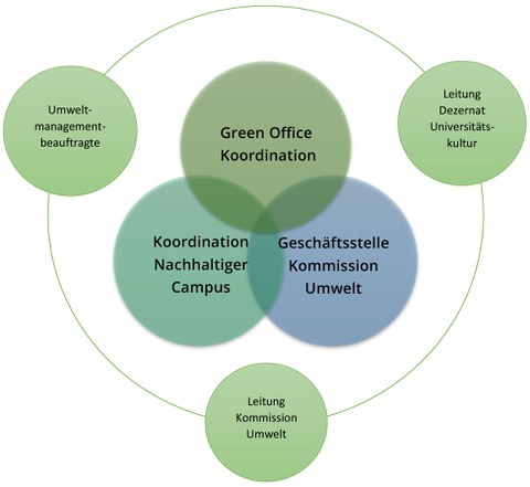 TÖEkoNa Schema
