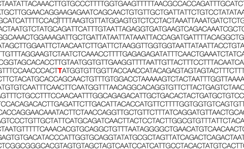 Teil des Coronavirus-Genoms mit einer rot markierten N501Y-Mutation. Eine N501Y-Mutation führte zur Entstehung neuer Varianten des Coronavirus. 