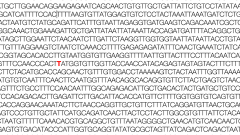 Teil des Coronavirus-Genoms mit einer rot markierten N501Y-Mutation. Eine N501Y-Mutation führte zur Entstehung neuer Varianten des Coronavirus. 