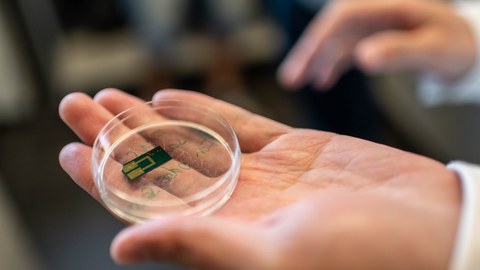 Eine Hand hält eine Petrischale mit einem Speicherchip darin.