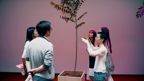 5 Personen stehen in einem Raum und betrachten einen mannsgroßen Baum in einem quadratischen Pflanzkübel.