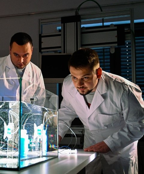 Zwei Forscher schauen in ein Aquarium mit zwei biometrischen Fischflossen.