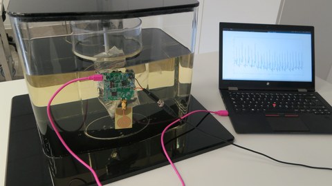 Rechts ein aufgeklappter Laptop, links ein Versuchsaufbau mit einem Aquarium