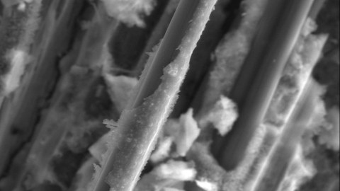 Mikroskopische Aufnahme einer Kohlefaser