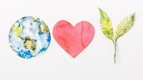 Grafik der Erde, daneben ein Herz, daneben ein Pflanzentrieb.