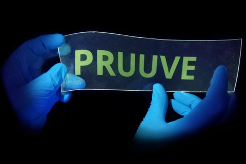 Zwei blaue Hände halten ein Schild mit der Aufschrift PRUUVE