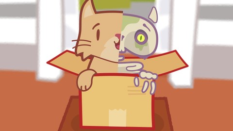 Karrikatur einer Katze, die aus einer Kiste schaut. Der rechte Teil ist als Skelett dargestellt.