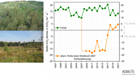 Collage aus zwei Fotos, die Waldflächen zeigen sowie ein Diagramm, das CO2-Messungen abbildet.