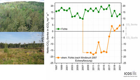 Collage aus zwei Fotos, die Waldflächen zeigen sowie ein Diagramm, das CO2-Messungen abbildet.