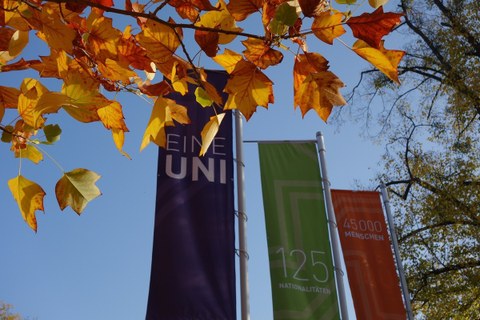 Das Foto zeigt drei unterschiedlich farbige Fahnen auf dem Campus der TU Dresden. Sie haben die Aufschriften: "Eine Uni", "125 Nationalitäten", "45000 Menschen". Die Blätter des Baumes im Vordergrund sind rot und gelb gefärbt. 