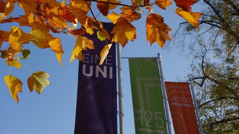 Das Foto zeigt drei unterschiedlich farbige Fahnen auf dem Campus der TU Dresden. Sie haben die Aufschriften: "Eine Uni", "125 Nationalitäten", "45000 Menschen". Die Blätter des Baumes im Vordergrund sind rot und gelb gefärbt. 