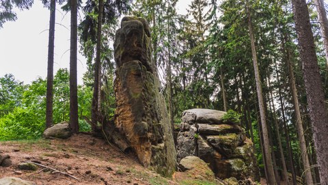 Ein Felsen steht im Wald.