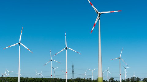 Windräder stehen auf einer grünen Wiese vor blauem Himmel.