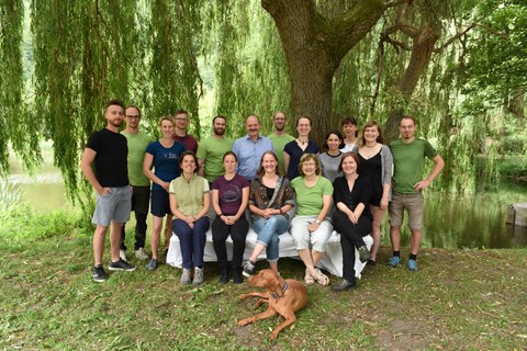 Team Professur Waldschutz