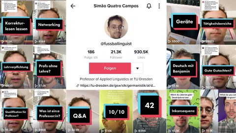 Collage aus verschiedenen TikTok-Fotos mit Prof. Meier-Vieracker