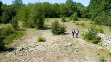Zwei Personen laufen auf einer Lichtung im Wald.