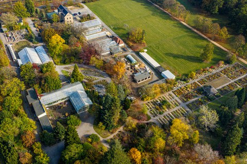 Das Foto zeigt eine Luftaufnahme des Botanischen Gartens der TU Dresden. Neben einer großen Grünflächen erkennt man viele Bäume und einige Gewächshäuser.