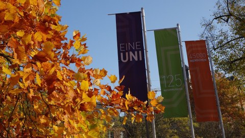 Das Foto zeigt drei unterschiedlich farbige Fahnen auf dem Campus der TU Dresden. Sie haben die Aufschriften: "Eine Uni", "125 Nationalitäten", "45000 Menschen". Die Blätter des Baumes im Vordergrund sind rot und gelb gefärbt.