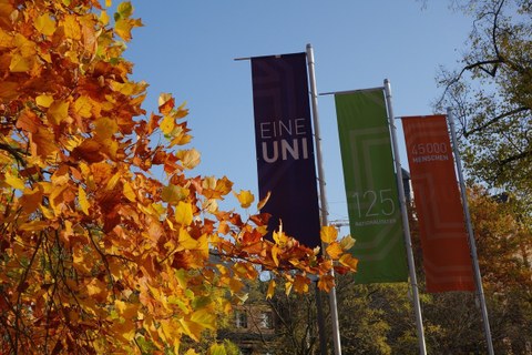Das Foto zeigt drei unterschiedlich farbige Fahnen auf dem Campus der TU Dresden. Sie haben die Aufschriften: "Eine Uni", "125 Nationalitäten", "45000 Menschen". Die Blätter des Baumes im Vordergrund sind rot und gelb gefärbt.