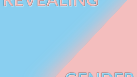 Ein Banner in den Farben blau und rosa mit den Wörtern Revealing Gender