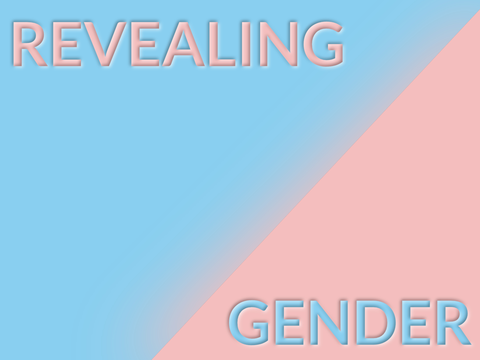 Ein Banner in den Farben blau und rosa mit den Wörtern Revealing Gender