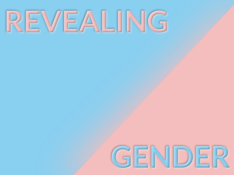 Ein Banner in den Farben blau und rosa mit den Wörtern Revealing Gender