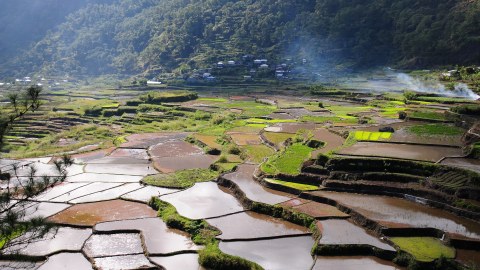 Reisterrassen, teilweise ohne Pflanzen