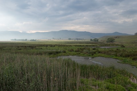 Feuchte Wiesenlandschaft, im Hintergrund kleine Häuser und umwölkte Berge.