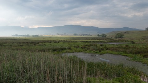 Feuchte Wiesenlandschaft, im Hintergrund kleine Häuser und umwölkte Berge.