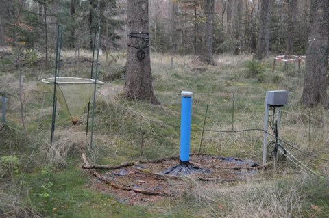 Verschiedene Messinstrumente stehen auf Waldboden.