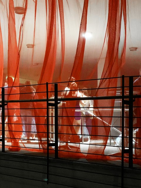 Hinter einem transparenten roten Vorhang sieht man Schemen von Menschen.