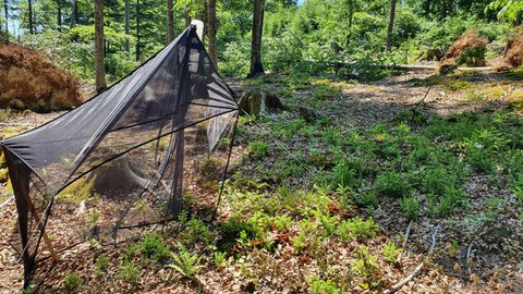 in einem Wald steht eine Insektenfalle aus schwarzen Netzen.