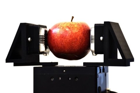 Ein Apfel wird zwischen zwei Armen einer Presse gehalten.