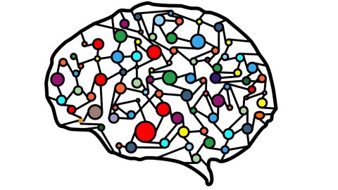 Grafik eines Gehirns mit eingezeichneten Nervenverbindungen.