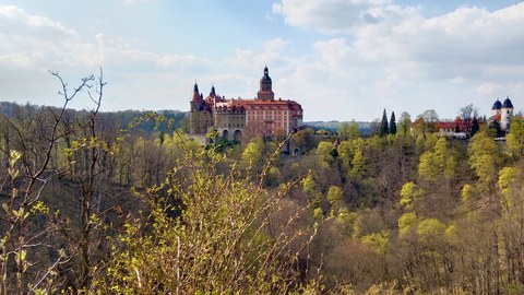 Foto einer Burg in der Mitte und rechts eines Gebäudes mit 2 weißen Türmen vor bewölktem Himmel, im Vordergrund und um die Gebäude herum ein frühlingshafter Wald.