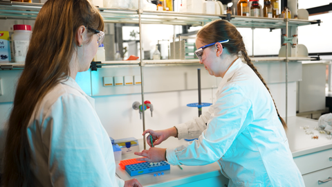 Zwei Wissenschaftlerinnen in weißen Laborkitteln und Schutzbrillen arbeiten in einem Labor. Eine von ihnen hält eine Pipette und führt eine Aufgabe an einer blauen Halterung mit Reagenzgläsern aus, während die andere zuschaut.