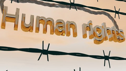 Auf lachsfarbenem Untergrund verlaufen zwei Stacheldrähte von links oben nach rechts unten. Dazwischen steht in goldenen Druckbuchstaben "Human rights"