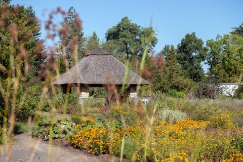 Das Foto zeigt eine blühende Wiese mit vielen verschiedenen Blumenarten. Im Hintergrund erkennt man einen Pavillon.