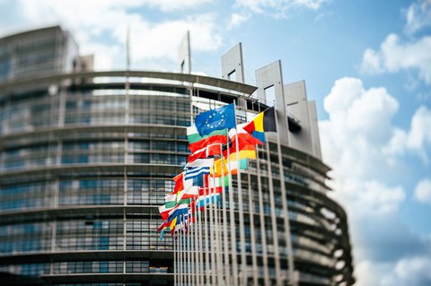 The European Parliament.