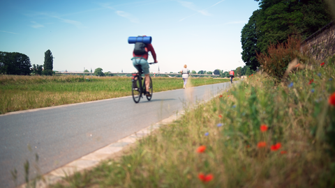 Foto von einem Radweg, der durch eine Wiese verläuft und auf dem ein Radfahrer fährt und eine Joggerin läuft. Im Hintergrund eine Brücke.