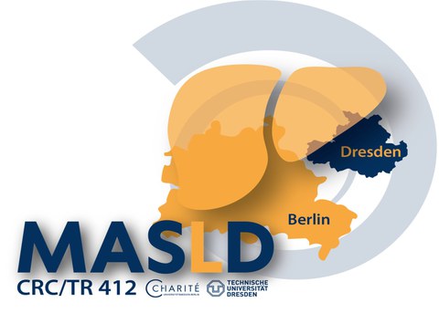 Logo des Forschungsverbundes MASLD.