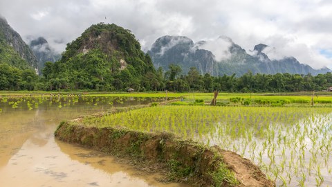 Gewundene unbefestigte Straße mit nassen Reisfeldern und grünen Hügeln im Hintergrund, während des Monsuns, in Laos.