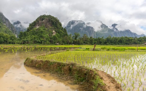 Gewundene unbefestigte Straße mit nassen Reisfeldern und grünen Hügeln im Hintergrund, während des Monsuns, in Laos.