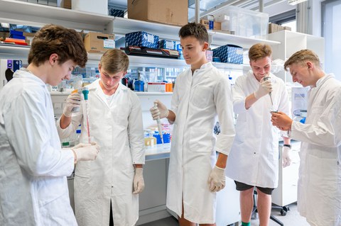 Foto von fünf jungen Männern, die in einem Labor stehen und mit Pipetten hantieren. Sie tragen weiße Kittel.